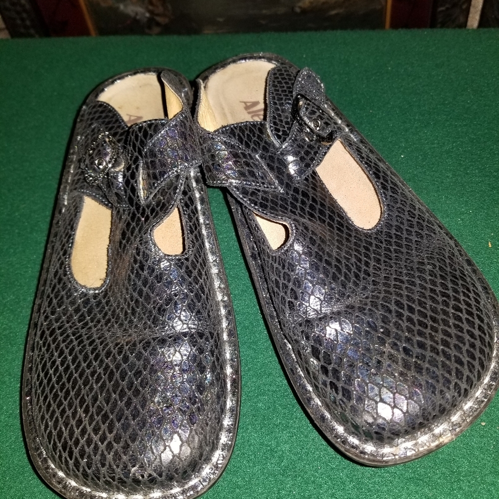 Alegria shoes
